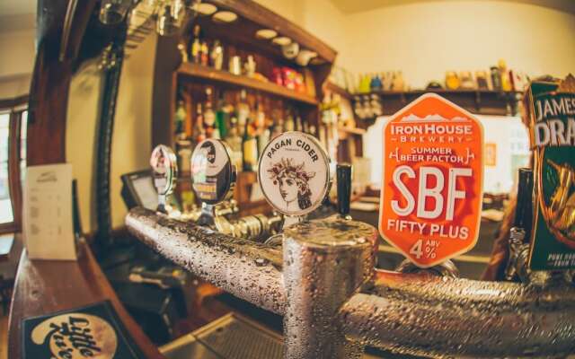 The Little Homie Homestay - Hostel