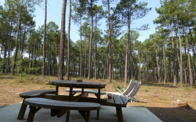 Gîte Luxey, 3 pièces, 4 personnes - FR-1-360-171