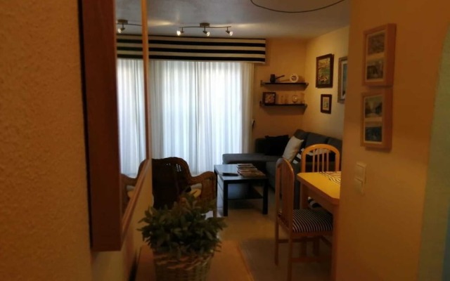 Owner Solidarity - reduction of prices - 12