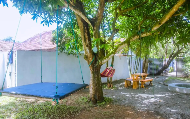 Kavindi Guest