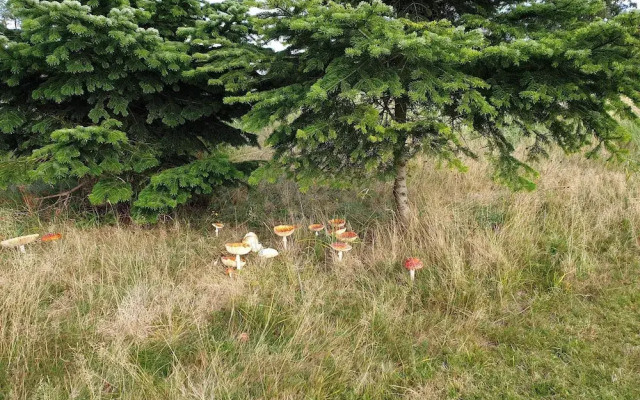 Holiday Home in VÃ¦ggerlÃ¸se