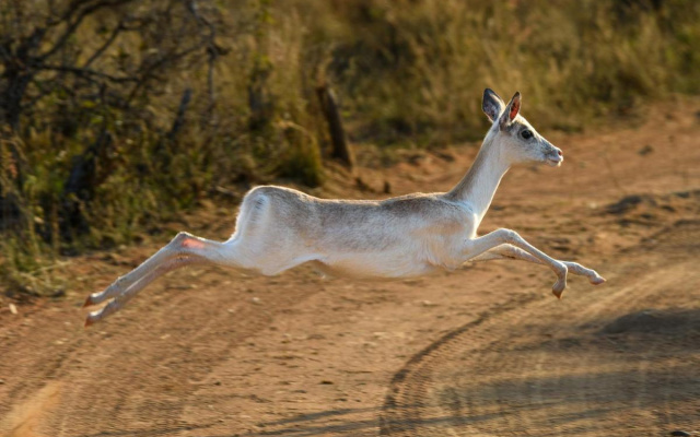 Waterberg Game Park