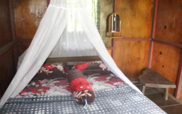 Rain Forest Guest House