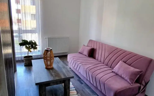 Swan Brasov Apartment
