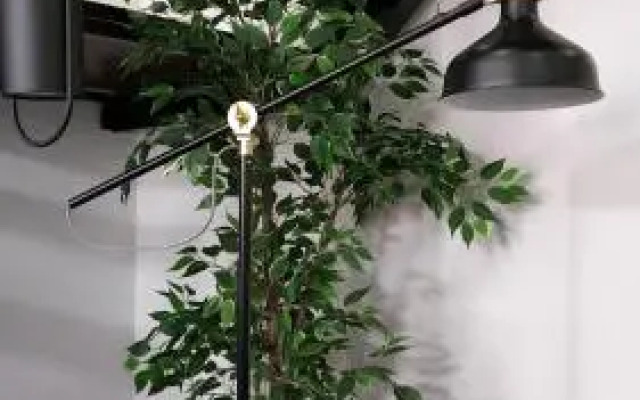 Bartholomeu Guesthouse