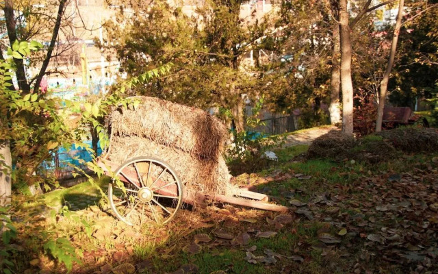 Organic House & Aquapark