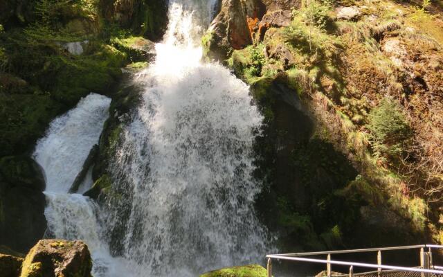 Serene Apartment in Hofstetten with garden amidst luxury of nature