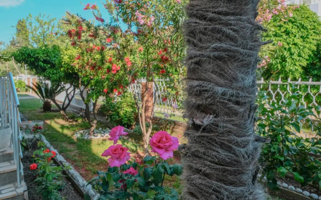 Vila Adriatik