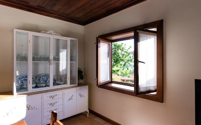 Feel Discovery Maçã Douro