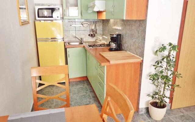 Apartments in Jasenice 41709
