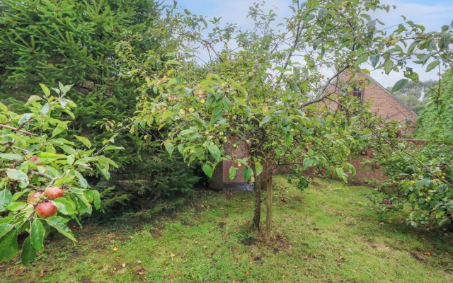 Coldharbour Farm Bungalow Annexe