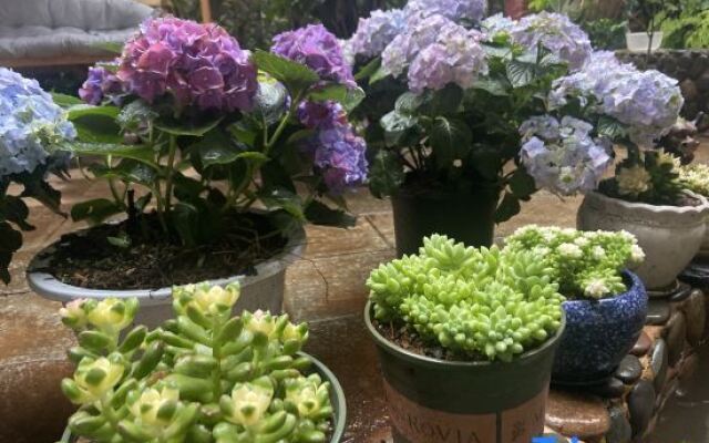 Tingfeng Courtyard Inn