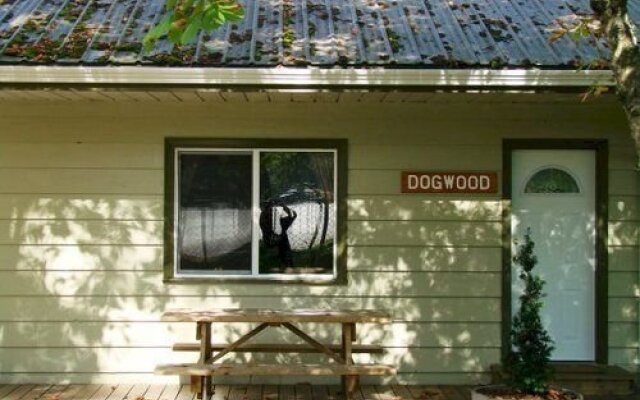 Cabins and Campground at Cultus Lake Park