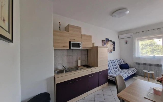 Apartment Šoštarić