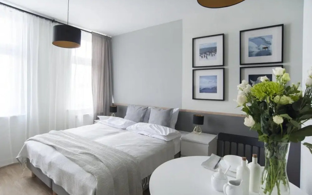 7 continents by DreamInn