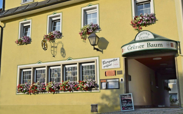 Hotel & Gasthof Grüner Baum