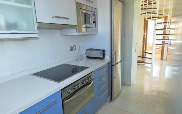 AP204 Renoir Oliva Nova