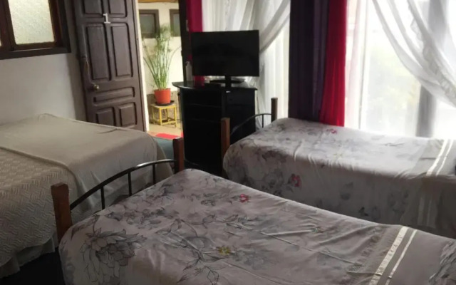 Hotel Rex