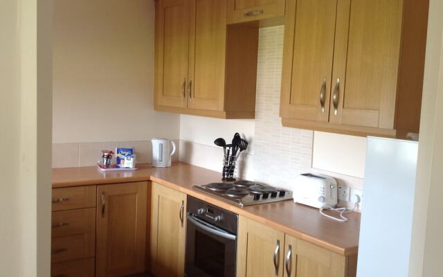 Pretty Properties Tillage Green