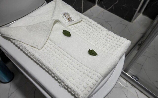 Hotel Mount Ararat