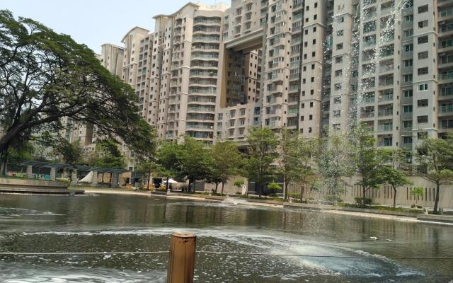 Pph Living Ms Comfort
