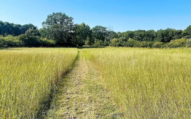 6 Person Holiday Home in Borgholm