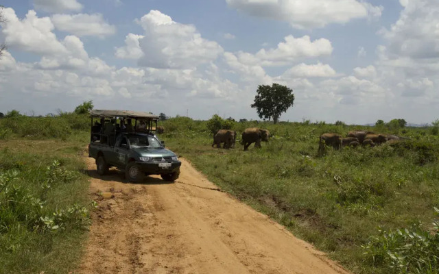 Ruhunu Safari Camping - Udawalawe