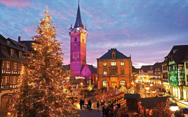Les Appartements d'Alicia Obernai