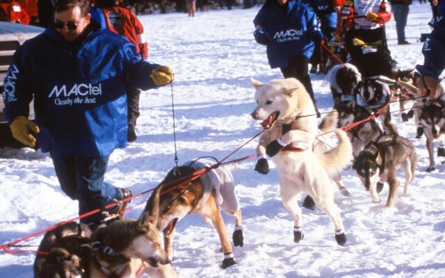 Best Western Lake Lucille Inn