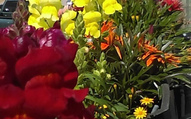 The Loft at Menorcan Square