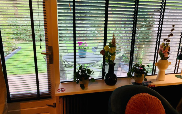 Wilde Moeflon, geniet van de vrije natuur!