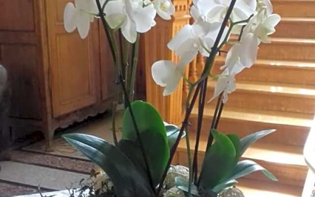 Le Manoir de la mantille