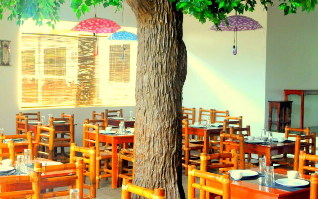 Oasis Resort and Spas