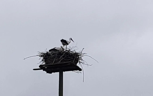 Ruhige Ferienwohnung direkt am Nord-Ostsee-Kanal
