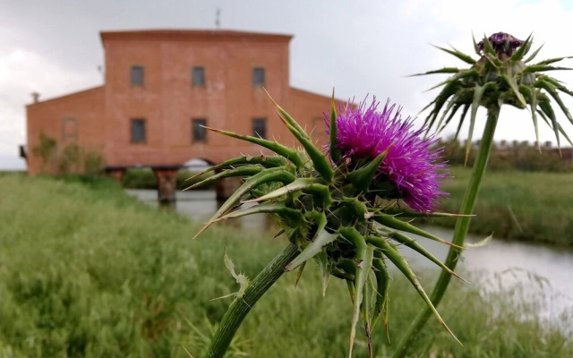 Agriturismo La Concia