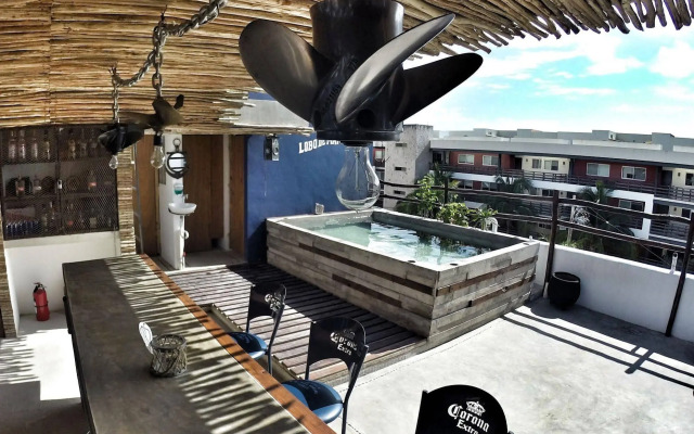 Lobo de Mar Hostel Playa del Carmen