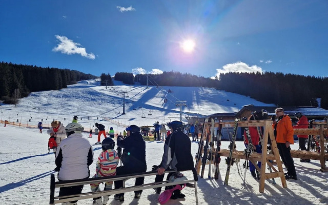 Apartment in St. Lambrecht Near ski Area