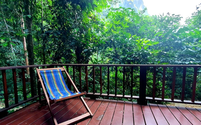 Our Jungle House