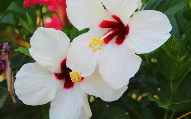 San Marcos 124 Gran Pacifica Resort