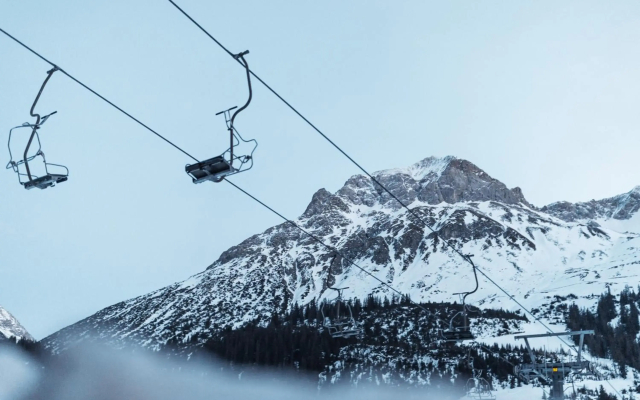 Burgi's - Adults only