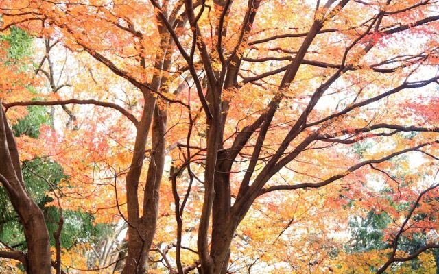 Shomarutoge Garden House