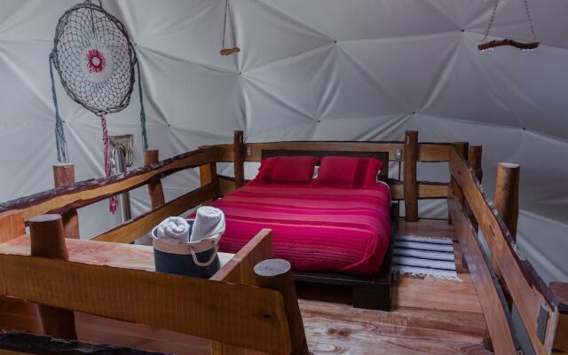 Cabanas Ensenada Bosque Nativo