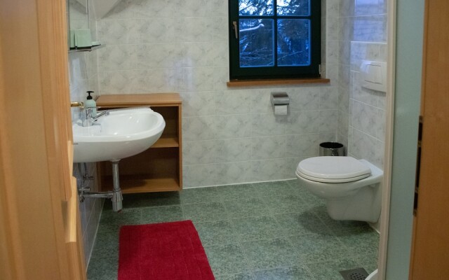Apartmaji Martin Pohorje