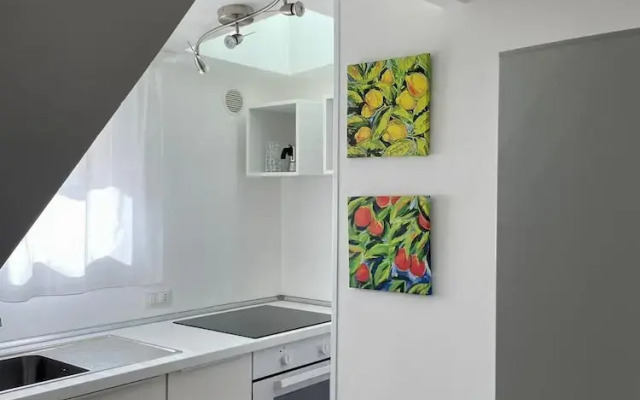 Virgilio 82 - Penthouse With Terrace