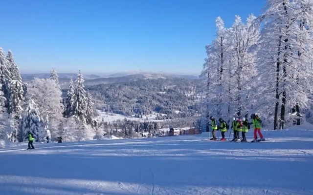 Mitterdorf Modern Retreat