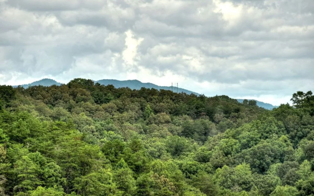 Serenity Now- Secluded Near Toccoa & Ocoee Rivers