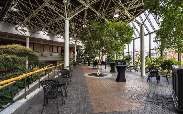 Sheraton Hotel Newfoundland