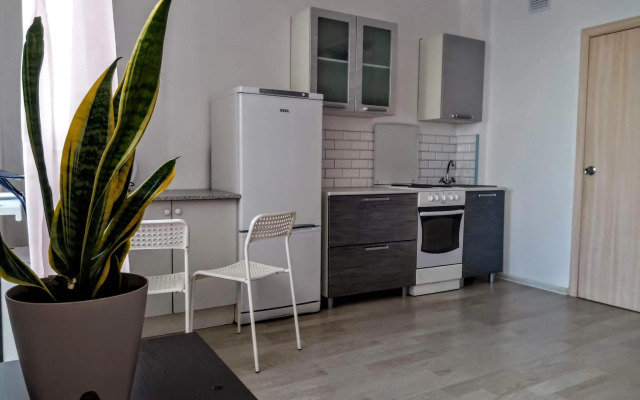 Апартаменты на улице Евгения Савкова 8