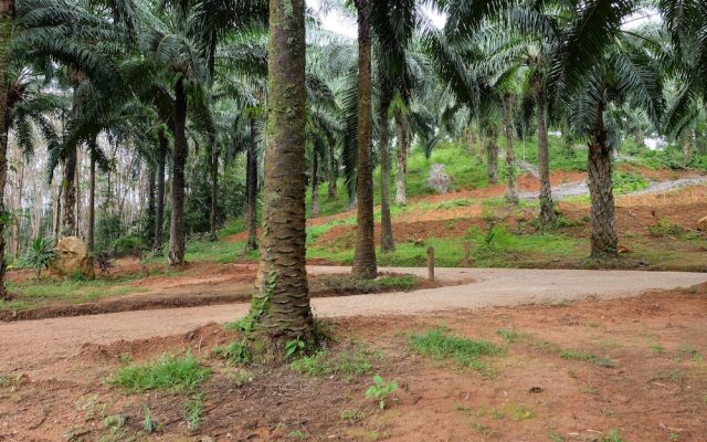 Tonpalm Farmstay