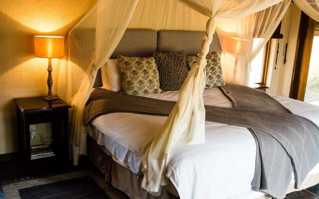 Thornybush Jackalberry Lodge